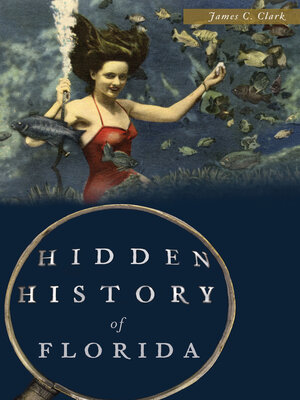 Hidden History of Florida - ebook